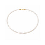 Collar clásico de perlas blancas 6 mm