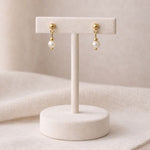 Aretes de perla blanca 6 mm en exhibidor