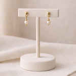 Aretes de perla crema 6 mm en exhibidor